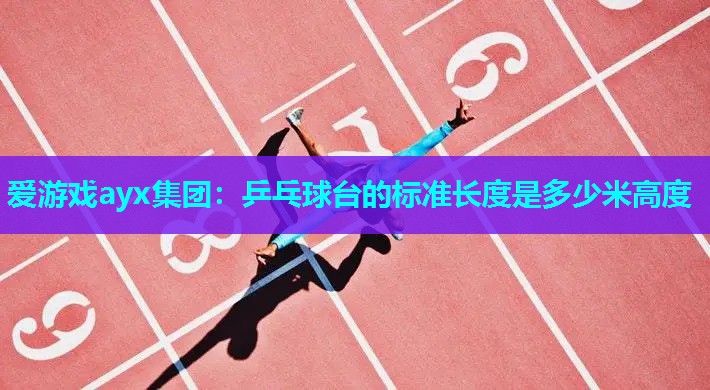 爱游戏ayx集团：乒乓球台的标准长度是多少米高度