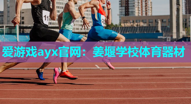 爱游戏ayx官网：姜堰学校体育器材