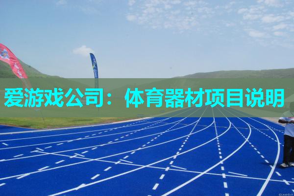 爱游戏公司：体育器材项目说明