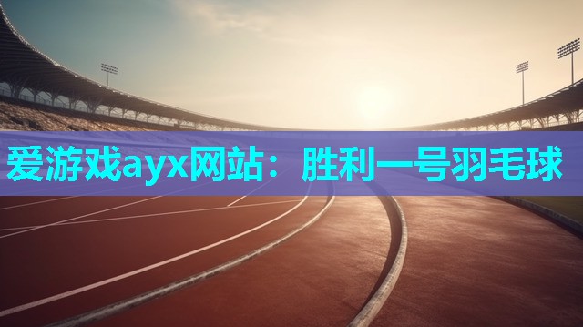 爱游戏ayx网站：胜利一号羽毛球